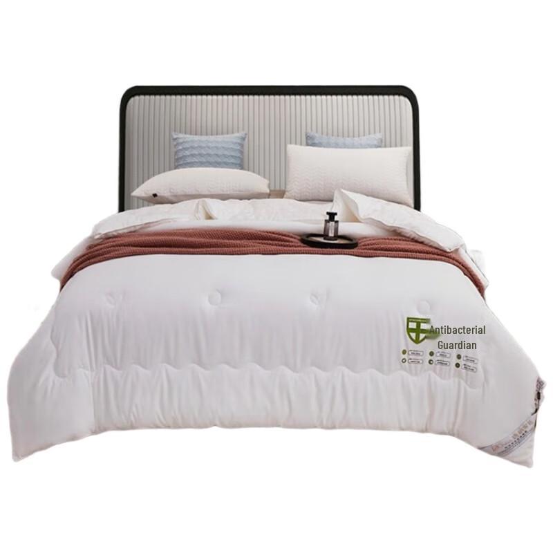 Tang Na Antibacterial All-Season Quilt