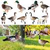 Duck Decor Realistic Life-like Ornamental Double-sided Printing Rustic Acrylic Garden Poultry Statue for Yard