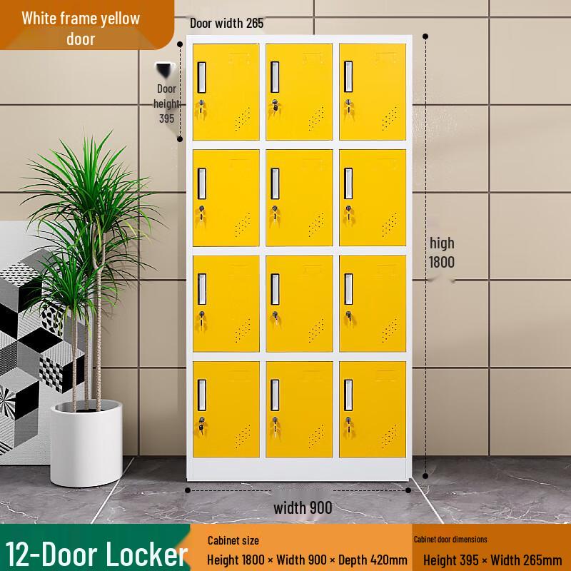 Ayoub 12-Door Classroom Locker with Sensor Lock