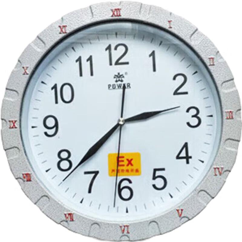Beicheng Explosion-Proof Quartz Wall Clock