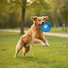 Set of 12 strong chew toys for dogs, strong and durable set of PetJet toys