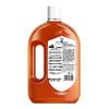 Walch Household Disinfectant & Hand Wash Combo Set