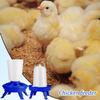 Poultry Automatic Feeding Bucket Chicken Feeder Barrel Water Bucket Geese Quail Drinking Farm Chicken Coop Water Supplies