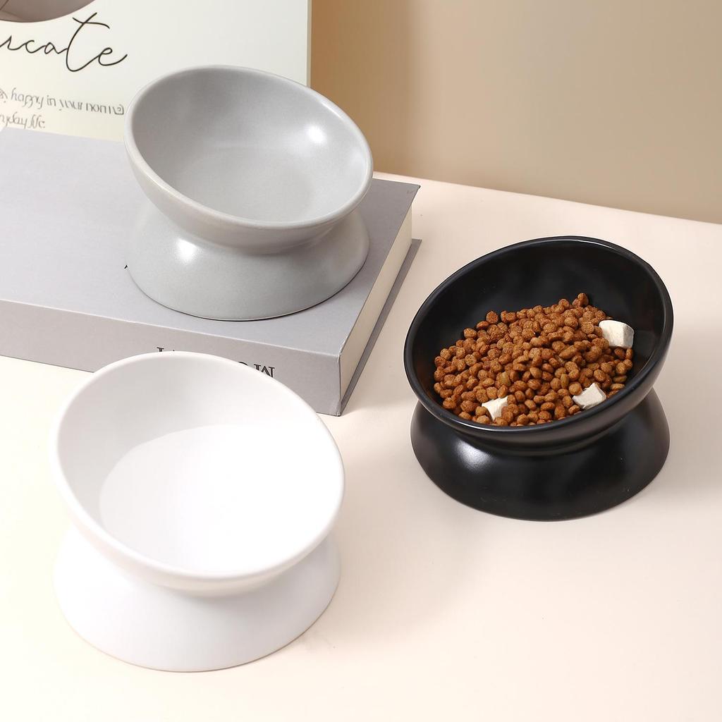 Ergonomic Slanted Pet Bowl for Cats & Dogs