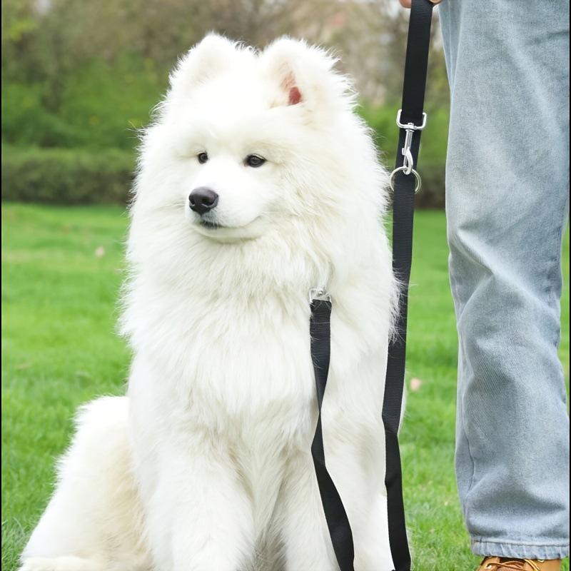 Adjustable Multifunctional Dog Leash - 2.35 Meter for Running & Exercise