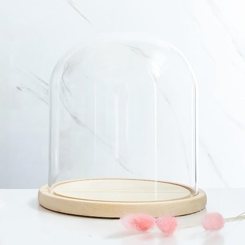 Glass Dome Diameter 7", Decorative Glass Cloche Bell Jar Display Dome, Dust Proof Glass Display Dome with Solid Wood Base Office Home Desktop