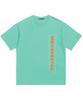 Wihaebeueoteil Layer Logo Tshirts (Mint)