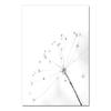 Posters Black And White Flower Print Fresh Wall Art Feather Dandelion Pictures Canvas Living Room Decoration Wall Paintings