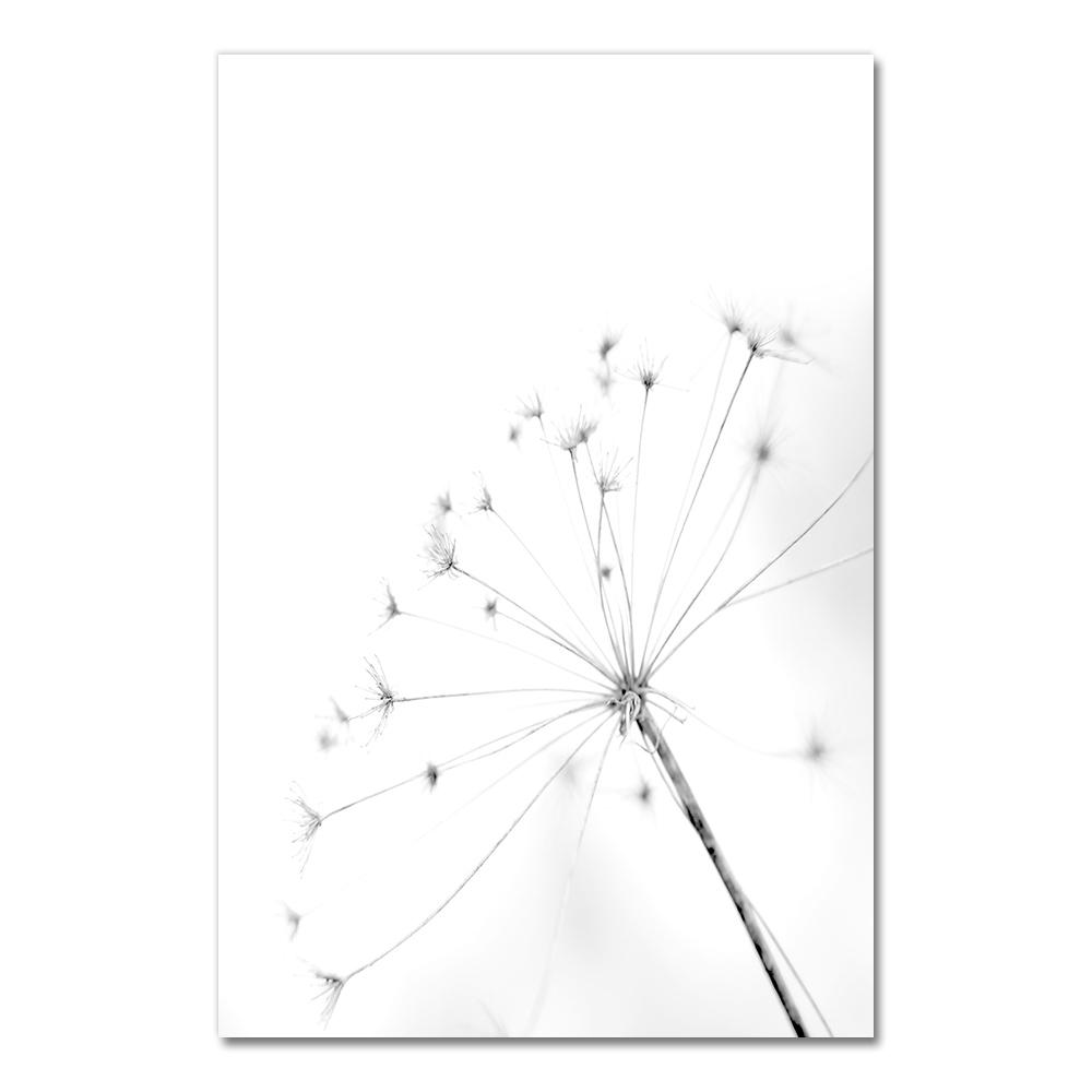 Posters Black And White Flower Print Fresh Wall Art Feather Dandelion Pictures Canvas Living Room Decoration Wall Paintings