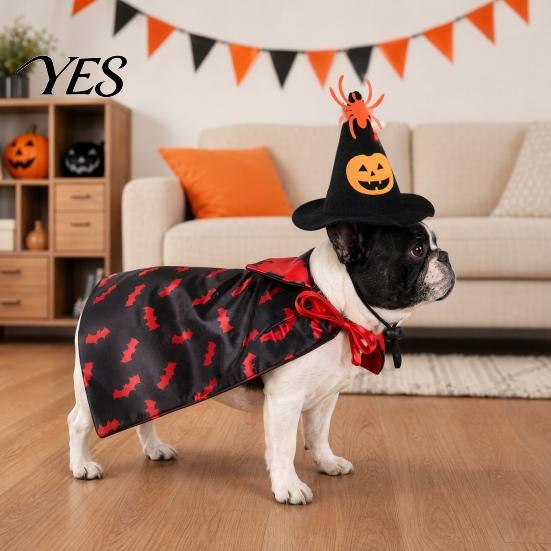 Cat Costume with Hat 1 Set Pet Halloween Costume, Spider Pumpkin Wizard And Outfit Double-Sided Bat Print Cape, Holiday Party for Cats Dogs Medium Dog