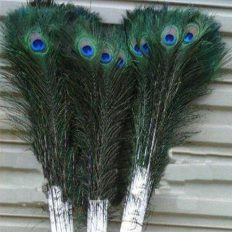 10 STÜCKE Große Augen Pfauenfedern Naturfeder für DIY Bastelzubehör Hochzeit Zuhause Hotel Dekoration Federn