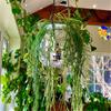 Home Hanging Mirror Ball Planter Decorative Plant Pots Hanging Flower Pot for Indoor Outdoor Home Garden Decor WWO66