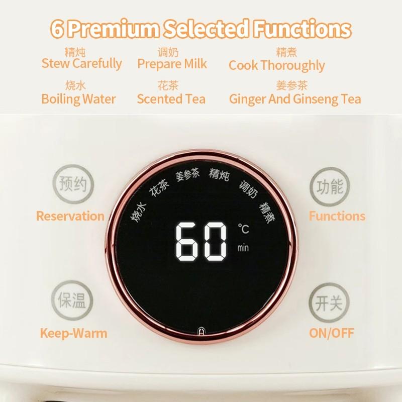 Bouilloire Bien-être Entièrement en Verre Grande Capacité 1,2L Bouilloire Santé à Température Constante Théière à Fleurs Multifonctionnelle Ménagère