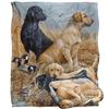 JQ Licensing Jg-Jp Silky Labrador Hunting Supersoft Blanket