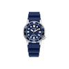 Blue Regular Watch Box – matches the image