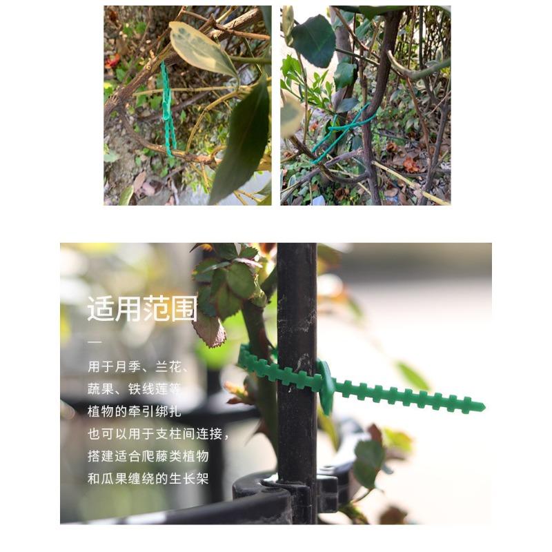 100pcs Green Plant Ties Reusable Garden Fasteners for Climbing Plants Tomatoes Vines Support