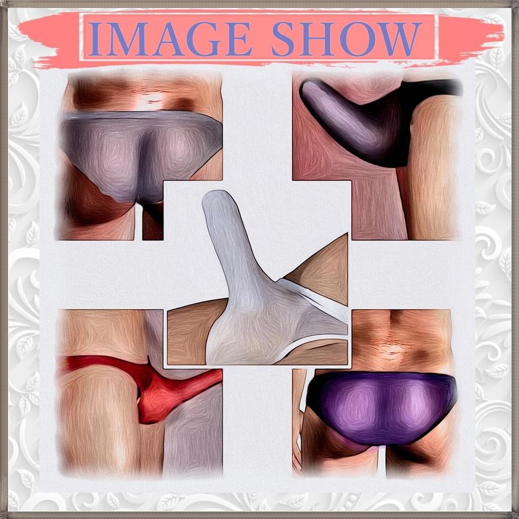 La Transparent Sexy Underwear Micro Mesh Pants Lingerie Elephant Briefs [Heureux Joie] Men's See-Through Men's (2XL, RED)