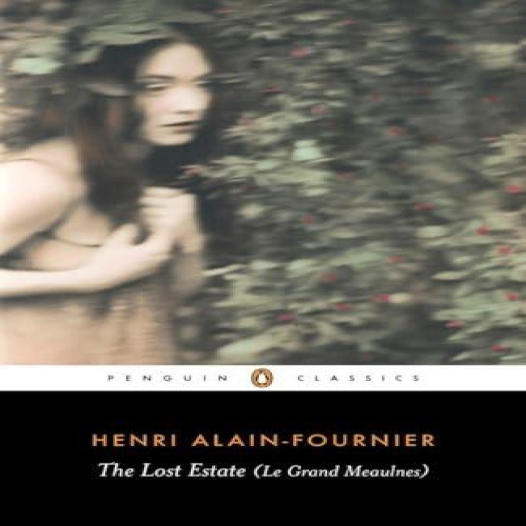 The Lost Estate Le Grand Meaulnes by Henri AlainFournier Paperback Book 9780141441894