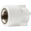 Tie Mu Yun PPR Internal Thread Straight Connector