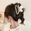 French Butterfly Hair Clip Female High-end Sense of New Large Shark Clip Back of The Head Plate Hairpin Hair Accessories Summer