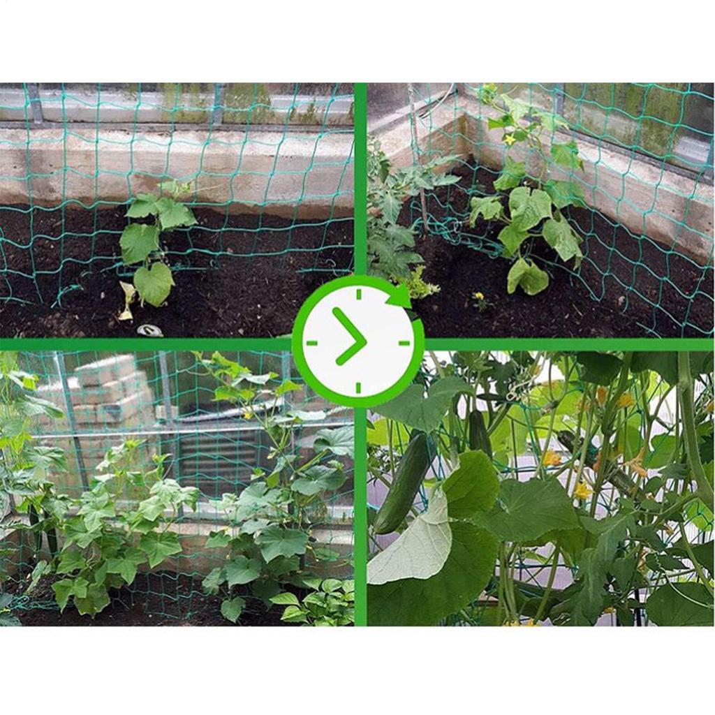 Plant Climbing Net 78.74x118.11 Inches Cucumber Trellis Netting Fruit Growth Protection Flower Support Net For Vegetable