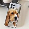 Beagle Dog Puppy Pet Case For Samsung Galaxy M06 M16 M36 M56 M52 M32 M12 M54 M34 M14 M35 M55 M15 M11 M31 M13 M53