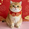 Festive Gifts Cartoon Chinese Style Pet Scarf Handmade Red Cat Knitted Scarf Funny Adjustable New Year Dog Costume Pet Costume