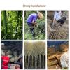Heavy-Duty Bamboo Broom 5-Pack