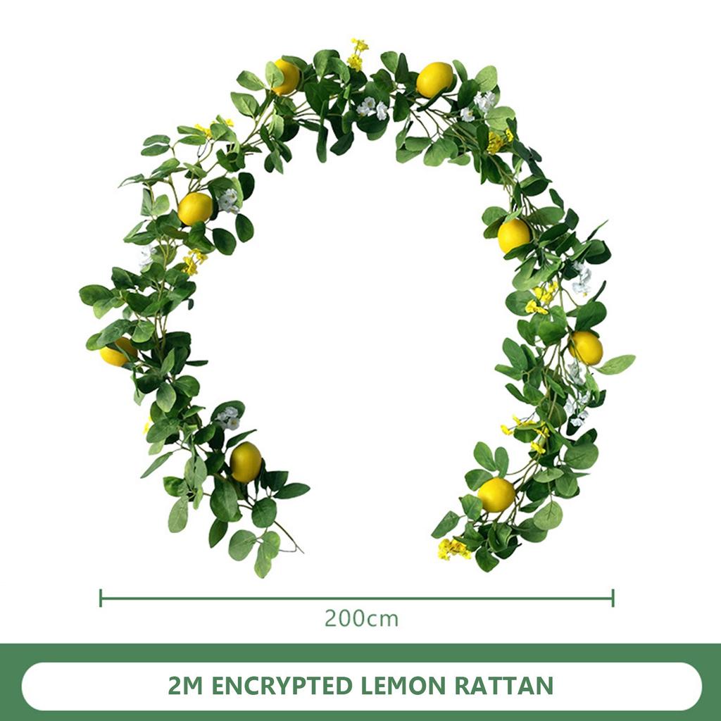Lemon Rattan Decor Supplies For Wedding Party Decorations