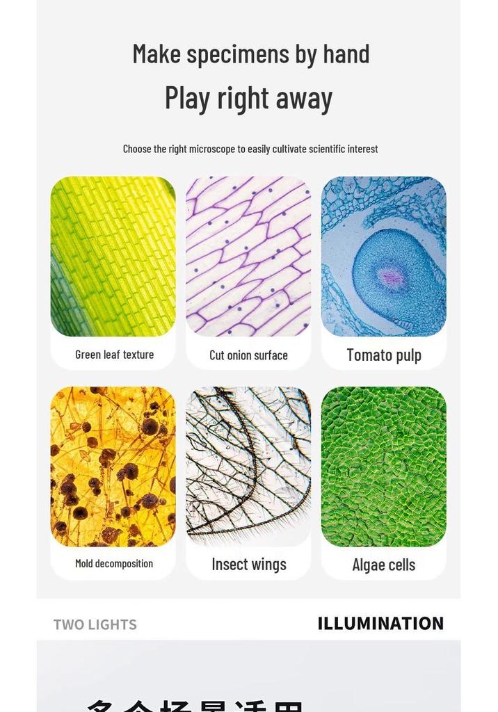 HD Portable Handheld Microscope Science Kit for Primary & Middle School Students