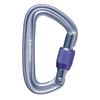 Black Diamond Lightforge Screwgate (Color Gray) [Used]