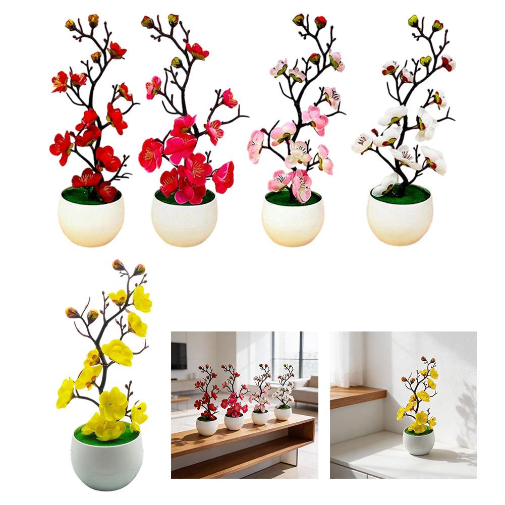 No Watering Required Plum Blossom Bonsai No Sunlight Needed
