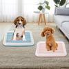 Dog Potty Toilet Training Tray/ Dog Litter Box with Secure Latch/ Indoor Outdoor