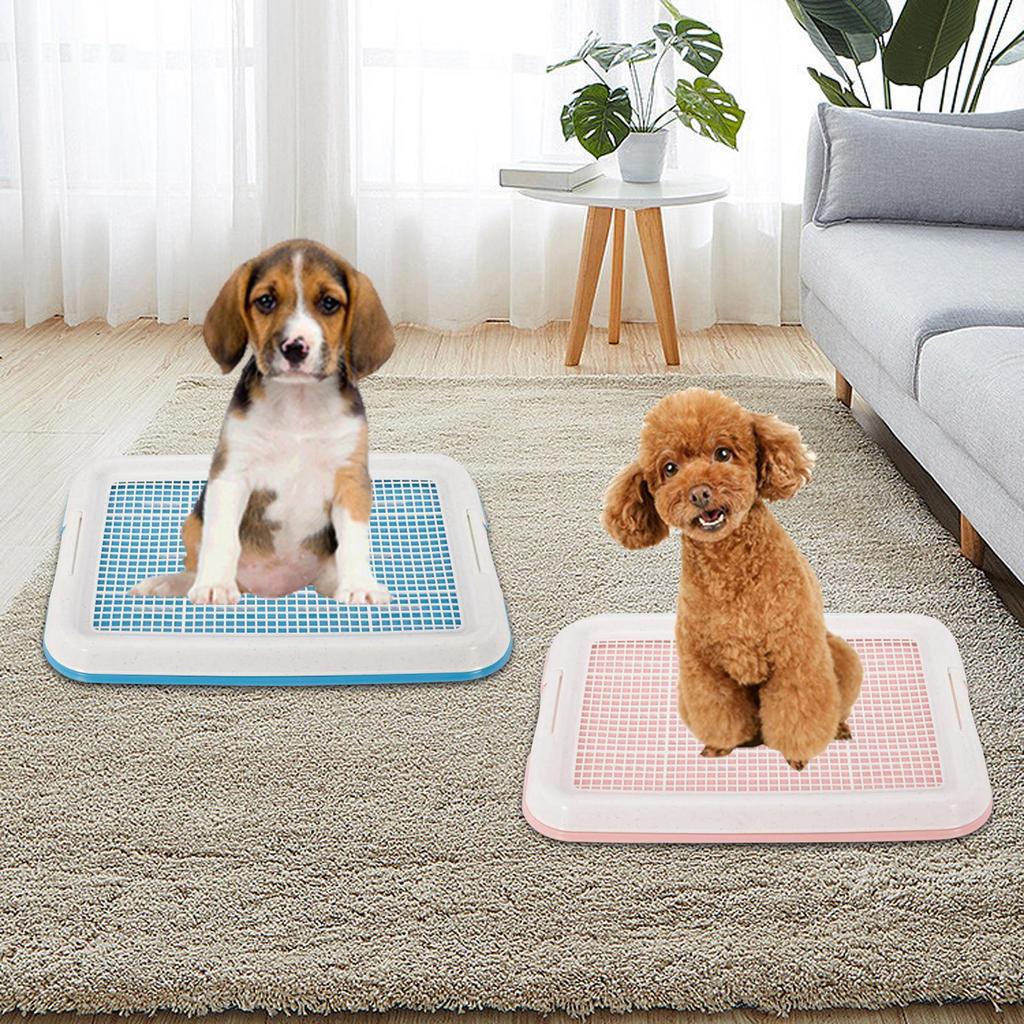 Dog Potty Toilet Training Tray/ Dog Litter Box with Secure Latch/ Indoor Outdoor