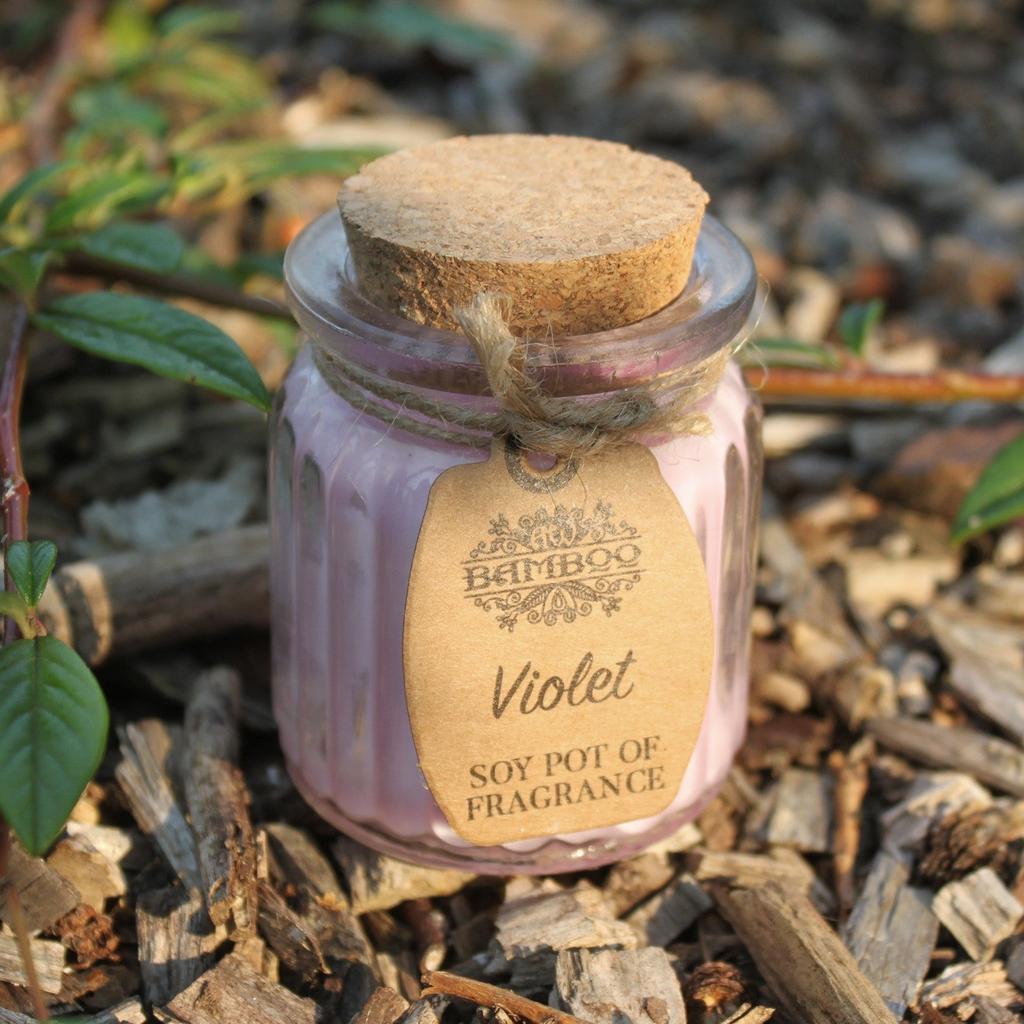 2x Soy Wax Scented Jar Candles, Violet 2 Pack