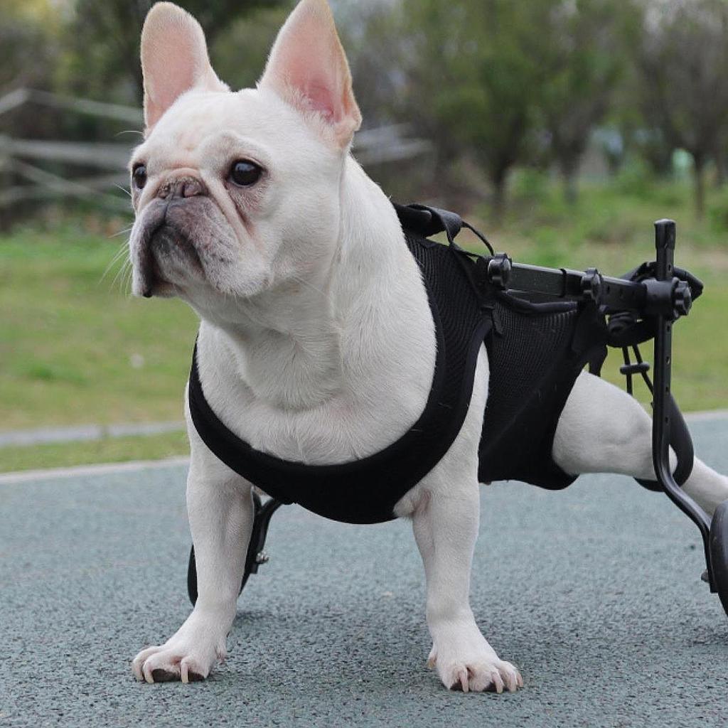 Dog Lift Support Harness Carrier Adjustable Straps Breathable Walking Assistance