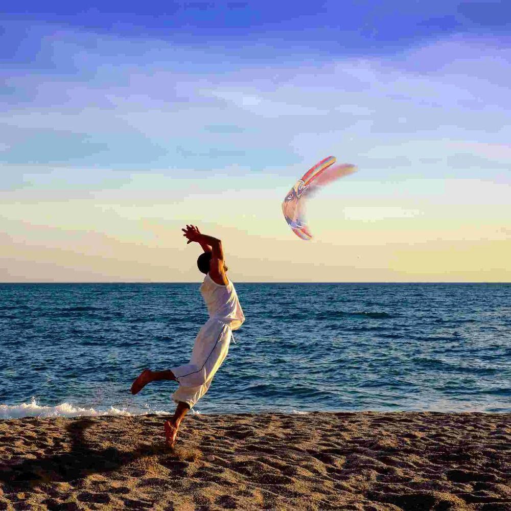 V-Shaped V Shaped Boomerang Fast Catch Returning Dolphin Boomerang Children's Gifts