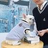Maglione per cani lavorato a maglia a righe O-Collo Chihuahua Cucciolo Vestiti Gilet per cani Cappotto per cani di piccola taglia Yorkie Bulldog francese Abbigliamento