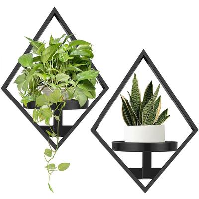 Sturdy Floating Metal Wall Plant Shelves Metal Rust-Resistant Wall Plant Shelves Space Savingn Easy-Mount
