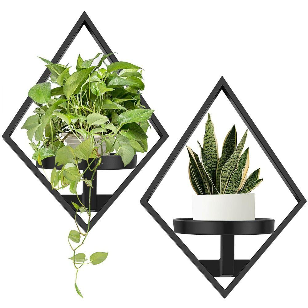 Metal Floating Metal Wall Plant Shelves Sturdy Floating Plant Racks Wall Plant Shelves  Home Office