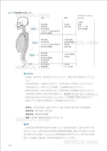 First of All, Let's Start with the Basics: Spinal Imaging Diagnosis