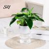 Water Absorbing Cotton Rope Planter Self Watering Flowerpot with Transparent Bottle and Level Indicator for Lazy Gardener Pot Indoor Plants
