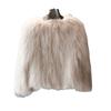 Imitation Fox Fur Imitation Leather Jacket Women's New Autumn and Winter Short Slim Fashion Light Fluff