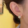 Female Waterdrop High End Simple and Versatile Earrings