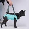 Dog Lift Harnesses Regulable Portable Walking Assistance for Small and Large Dogs Surgeries Recovery and Support
