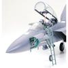 Tamiya (TAMIYA) 1/32 Aircraft Series No.12 United States Air Force Boeing F-15E Strike Eagle Bunk...