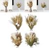 Natural Dried Flower Bouquet DIY Decorative Dry Flowers Floral Bouquet for Table Home Apartment Living Room Flower Arrangements
