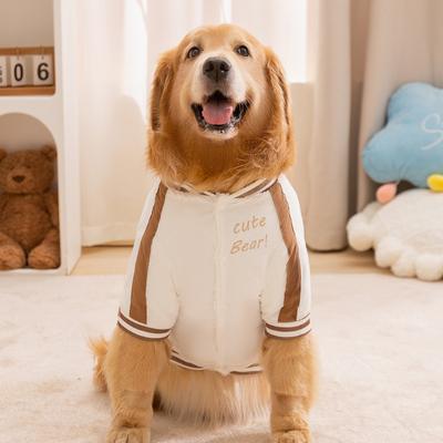 Abbigliamento e scarpe – Pullover per cani