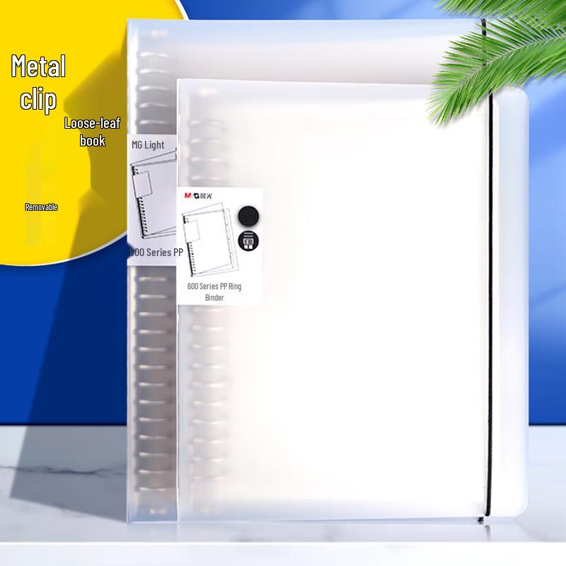 Chenguang B5 Ruled Loose-leaf Notebook