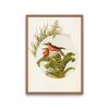 Garden birds poster, goldfinch bird, beaked warbler bird and hyacinth flower, four bengal birds, audubon bird print decoration,